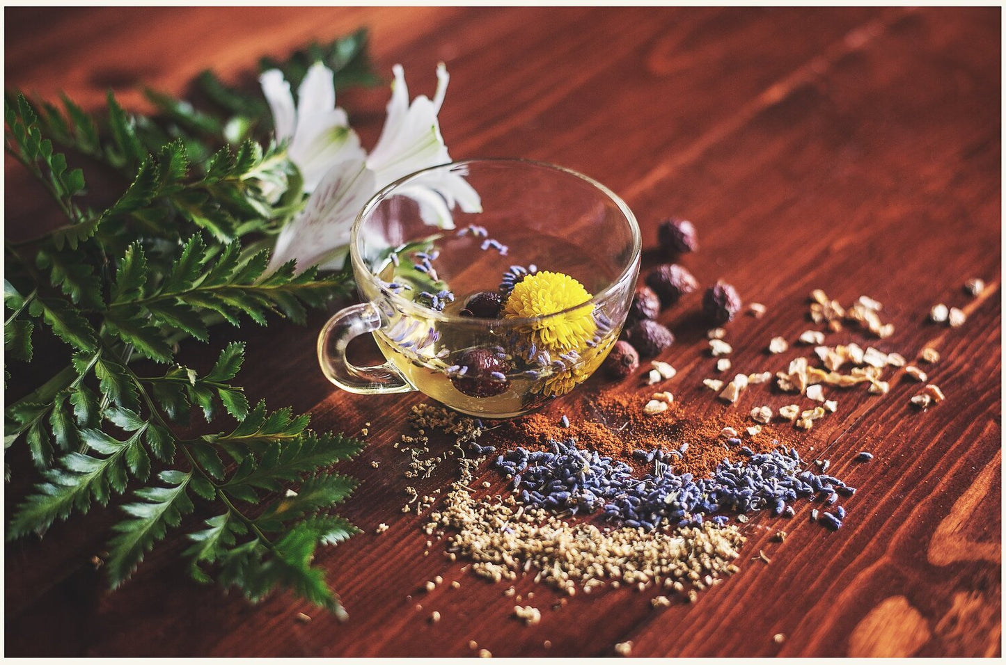 Herbalism 101 - Webinar